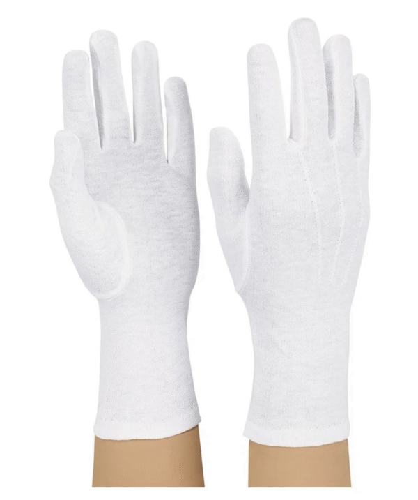 StylePlus Long Wrist Poly-Nylon Gloves - Image 2