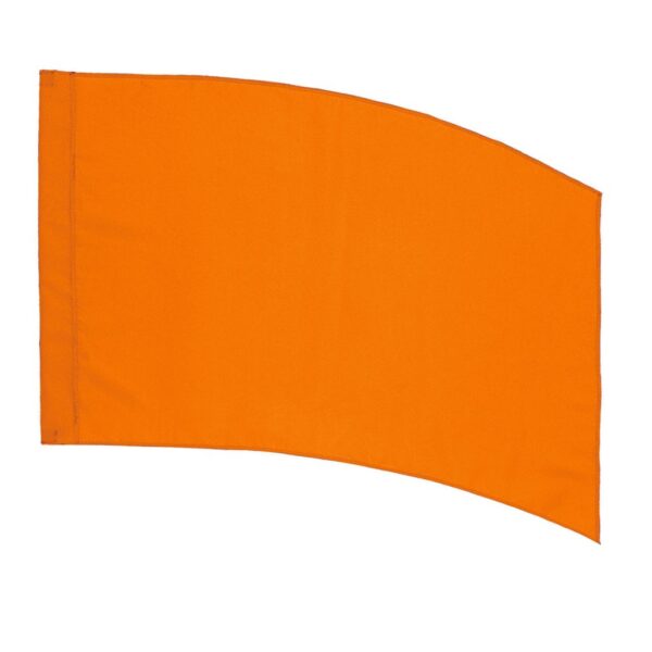 DSI PCS F1 Practice Flags - Image 6