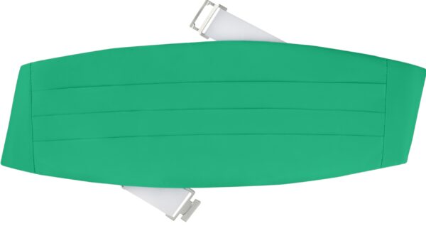 Poly/Satin Cummerbund - Image 6