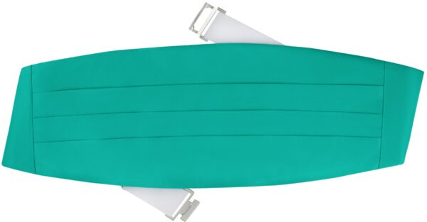 Poly/Satin Cummerbund - Image 21